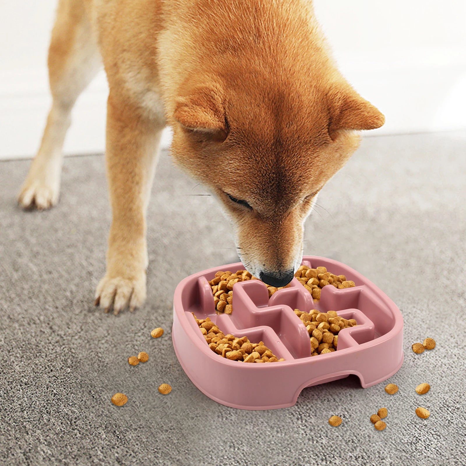 Pet Supplies Dog Cat Anti Choking Feeding Food Bowls Puppy Slow Down Eating Feeder Dish Prevent Obesity New Product Variety